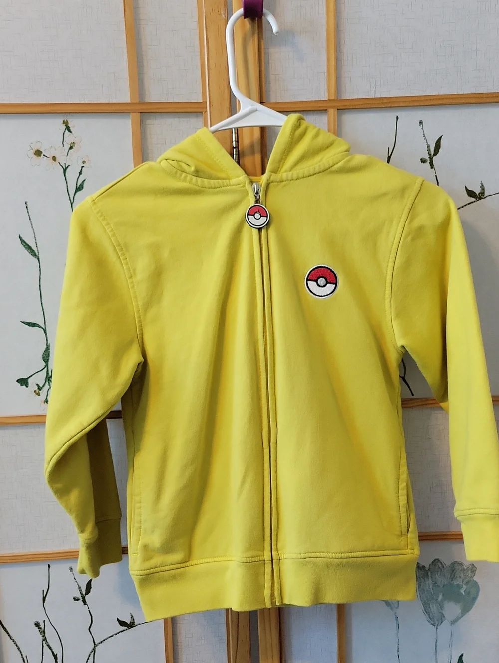 Pokemon hoodie
